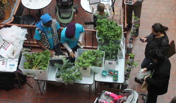 Students sell produce at farmers market