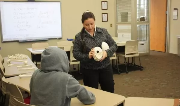 Photo of professor teaching parts of  a skull to a student