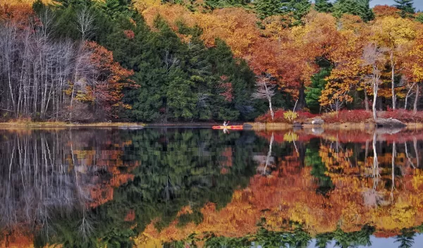 New England with fall trees in the background on a lake