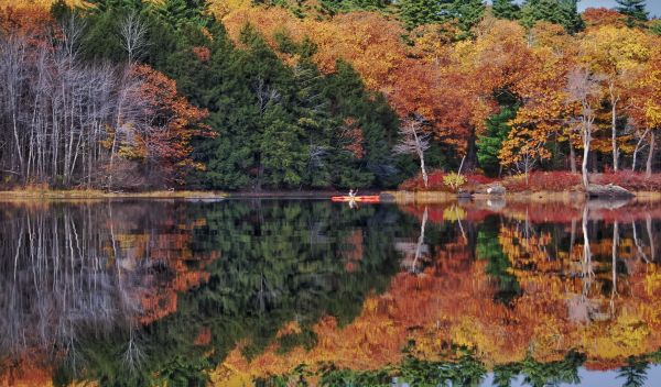 New England with fall trees in the background on a lake