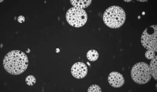 delicate, nested microbubbles.