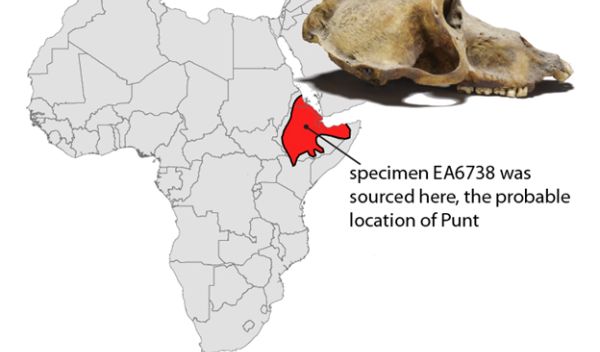 Map showing the probable location of Punt.