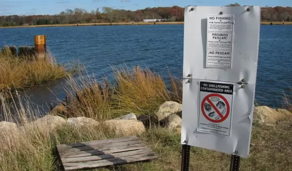 New Bedford Harbor in Massachusetts is contaminated with PCBs from decades of industrial pollution.