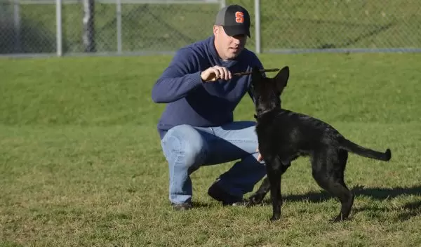 a vet and trauma REU student and his dog