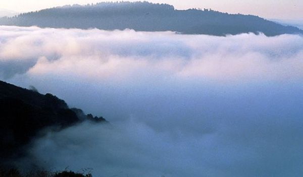 Fog over the estuary of the Klamath River along the Pacific Coast.