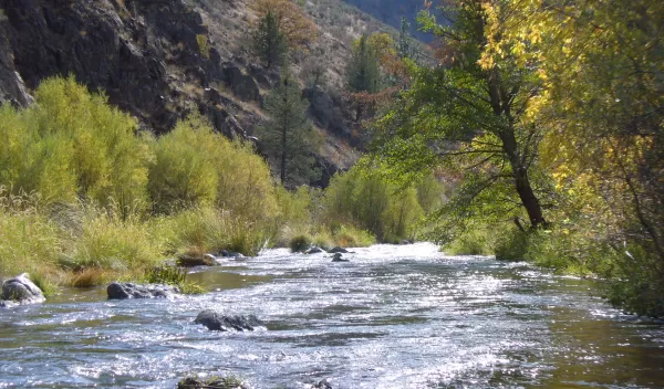 The Shasta River, northern California.