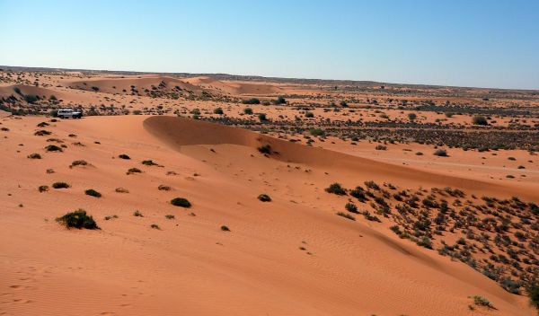 Red sand dunes in Africa's Kalahari Desert.