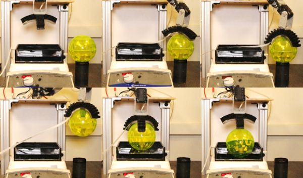 Biomedical engineers have developed a robot that