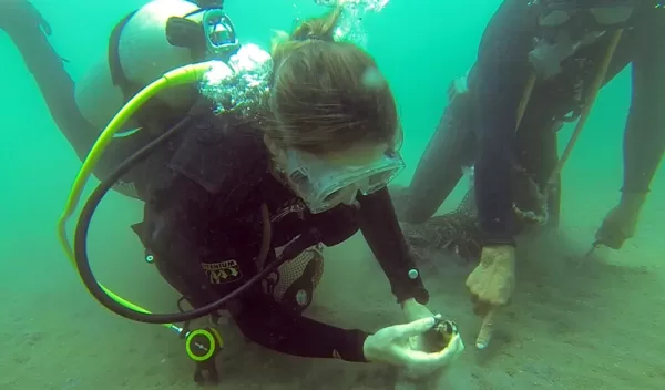 NSF-funded researchers scan the ocean floor for clams alongside a fisher in Loreto Bay, Mexico.