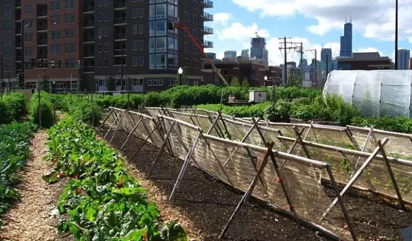Food system changes may curb cities' environmental impacts.
