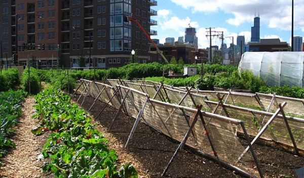 Food system changes may curb cities' environmental impacts.