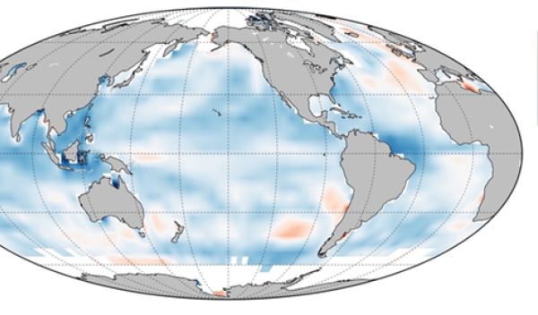 illustration of a globe