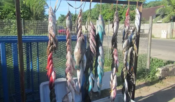 Researchers analyzed the composition of fish caught near the island of Moorea in French Polynesia.