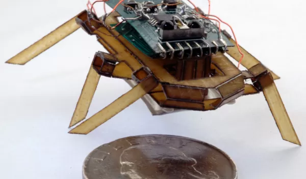 Roach-like robot