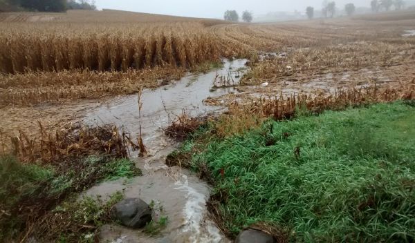 rain in a harvested cornfield