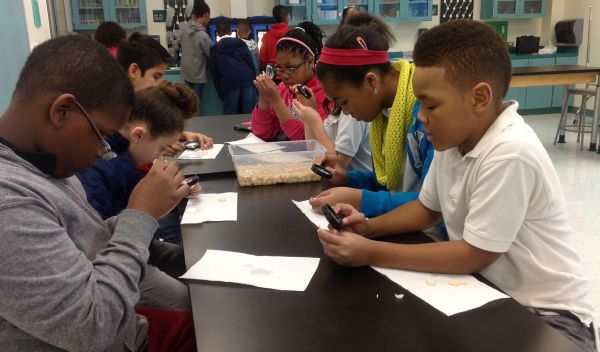 Children at a table in school examine seeds