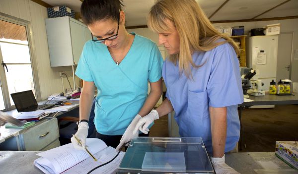 Scientists Sarah Jobbins and Kathleen Alexander looking at notes in the lab