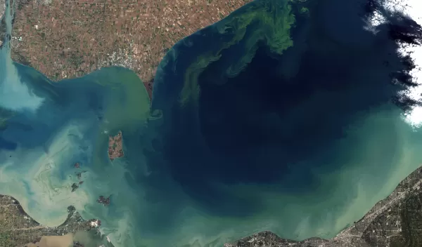 Lake Erie in October 2011, during an intense bloom of blue-green algae, or cyanobacteria.