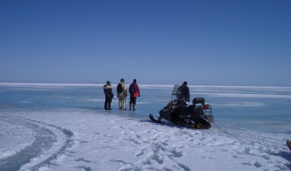researchers on the ice