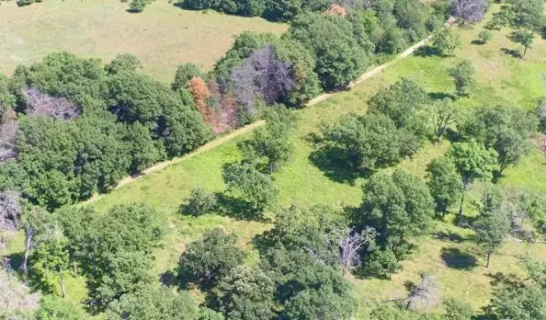 abandoned agricultural field (upper left) and oak savanna (lower right)