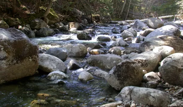 Photo of a stream with boulders in the streambed.