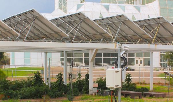 agrivoltaics