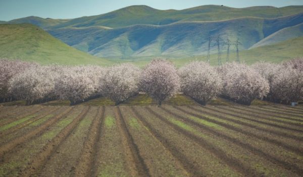 Central Valley