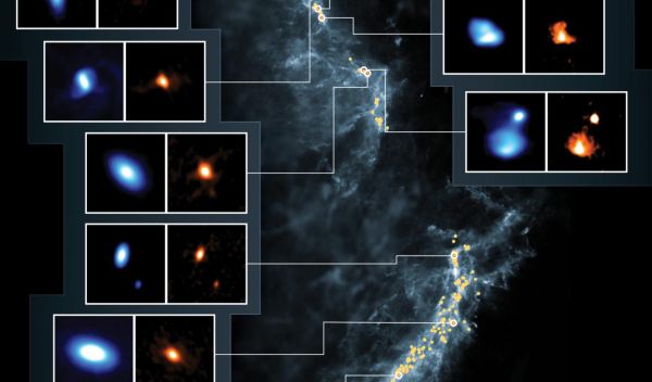 image of the Orion Molecular Clouds