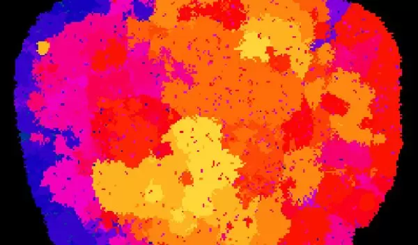 Digital organisms self-replicate with different fitness levels and fill empty spaces.