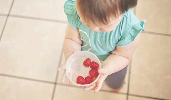 baby holding a bowl of berries