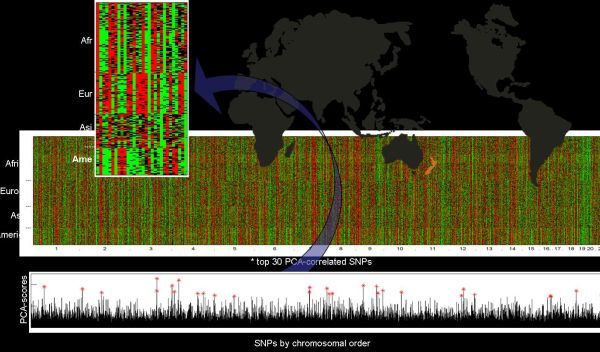 Plot of genetic markers and world map graphic.