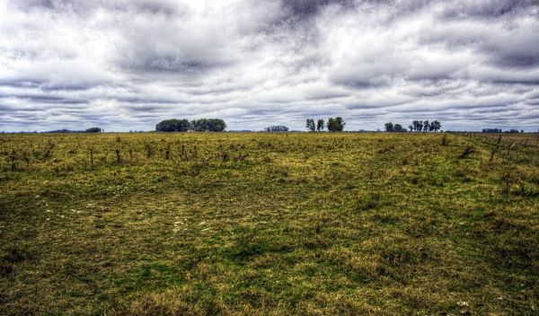 the countryside in Buenos Aires