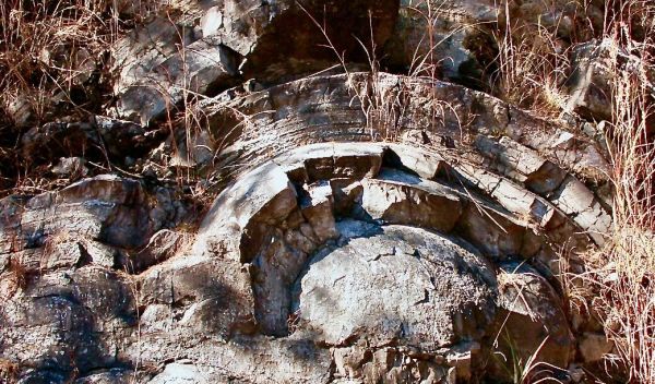 giant mounds of fossil stromatolites