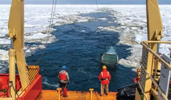 researchers at the Palmer LTER site