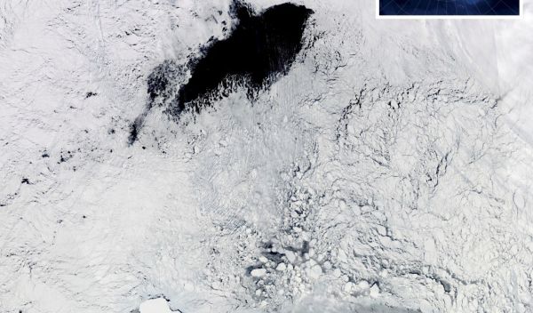 hole in the sea ice