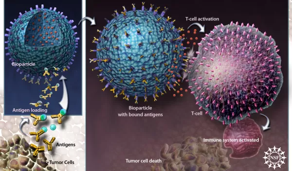 Illustration of a bioparticle (left) ready to bind antigens (yellow) from tumor cells.