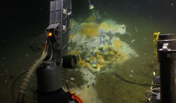 Researchers used the submersible ALVIN to collect samples from the seafloor.