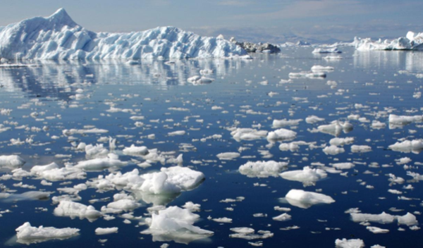 Artic ice floating in the ocean