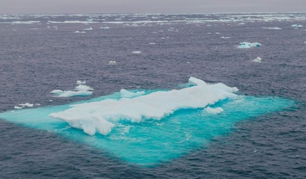 Arctic Ocean sea ice