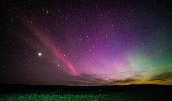 aurora over field