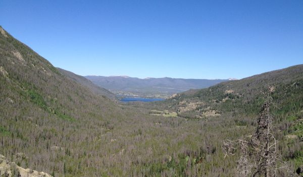 Mountain with dried trees in a forest overlooking Grand Lake, Colorado
