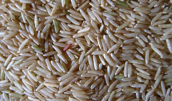 brown basmati rice