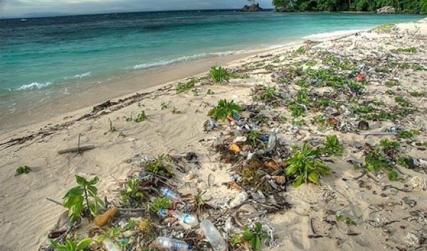 A beach littered with plastic bottles.