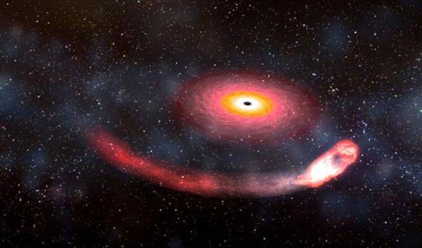 A black hole consuming a neutron star