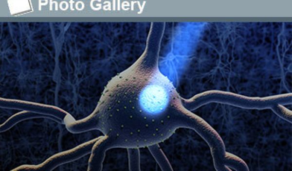 a neuron with a ray of light and the text photo gallery