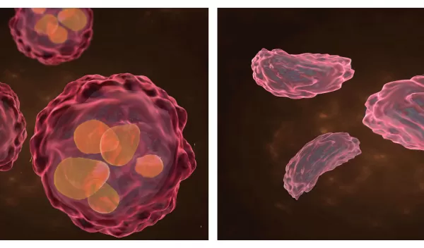 cancer cells and copper