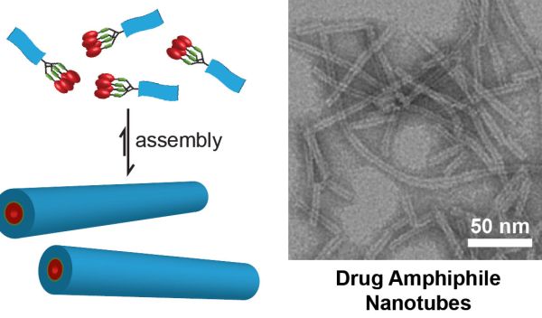 Schematic illustration of the design concept for self-assembling drug amphiphiles