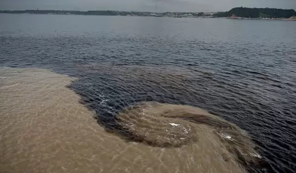 mixing of organic-rich and sediment-rich waters