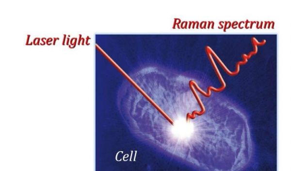 focusing a laser beam on a spot within a cell