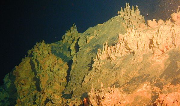 Loihi Seamount structures built by iron-oxidizing microbes.